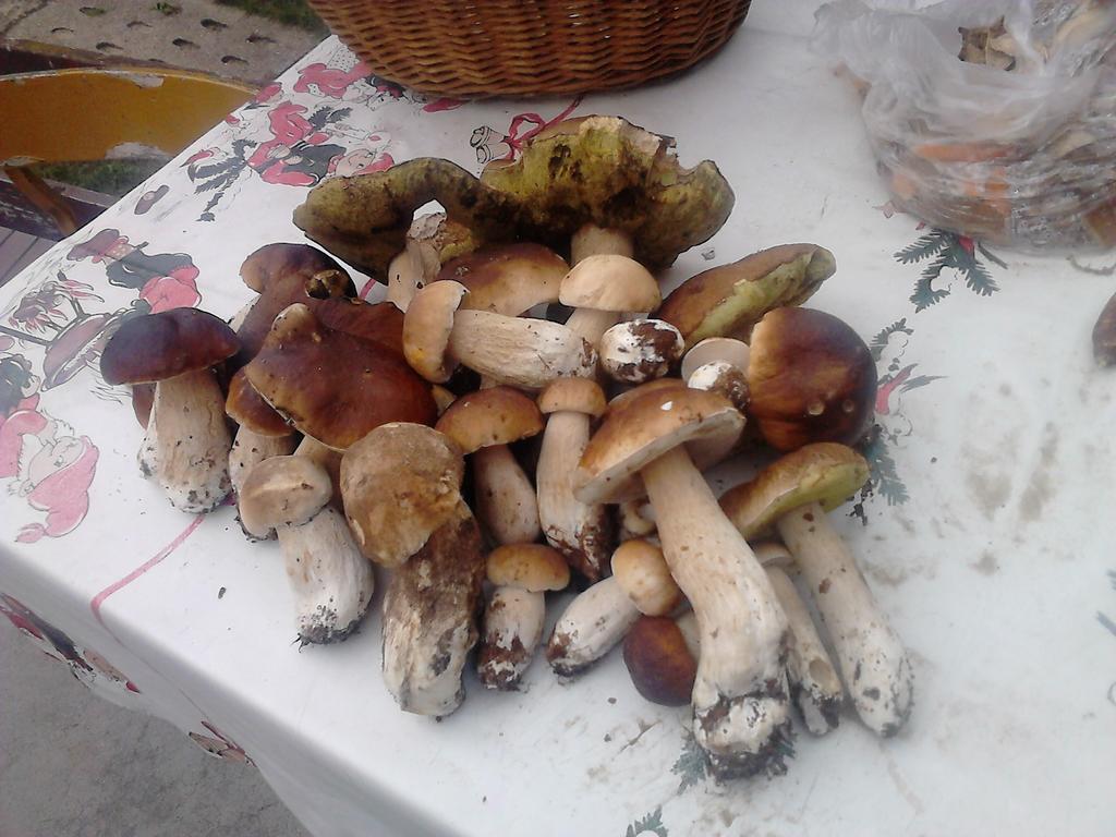 Apartamentypomorze Bialogora Luaran gambar